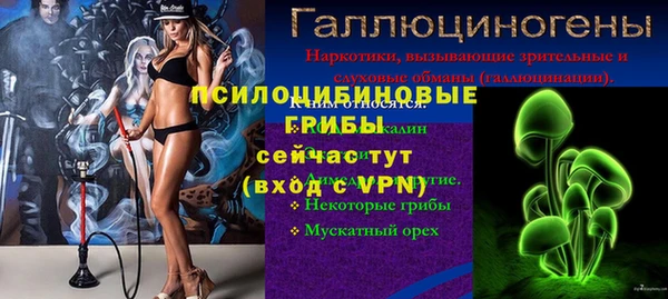 прущие крисы Алексеевка