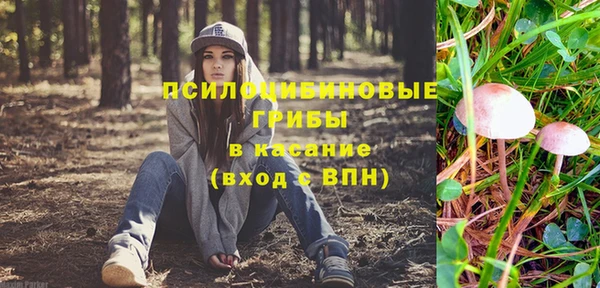 PSILOCYBIN Осинники