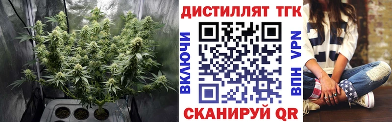 ТГК гашишное масло где найти Сортавала